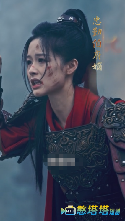 将军夫人不好惹全集在线观看