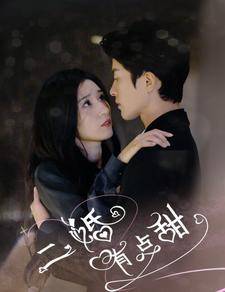 二婚有点甜全集在线观看