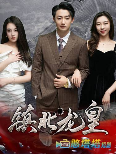 镇北龙皇全集在线观看