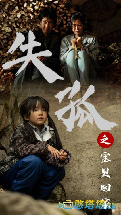 失孤之宝贝回家全集在线观看