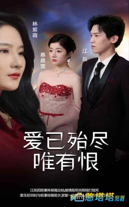 爱已殆尽唯有恨全集在线观看