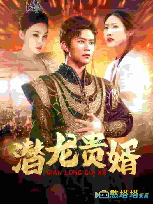 潜龙贵婿全集在线观看