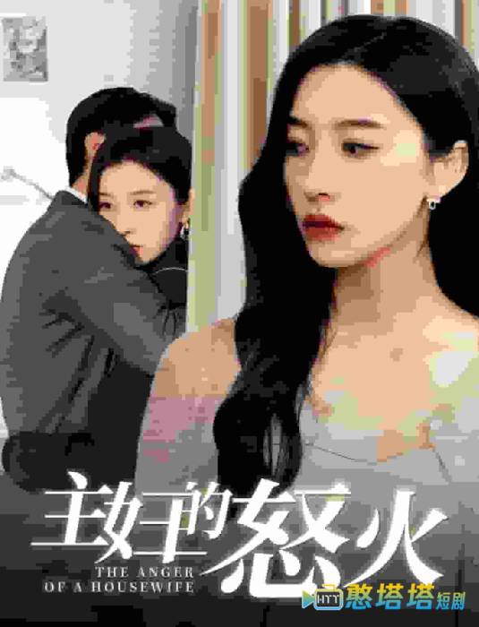 主妇的怒火全集在线观看