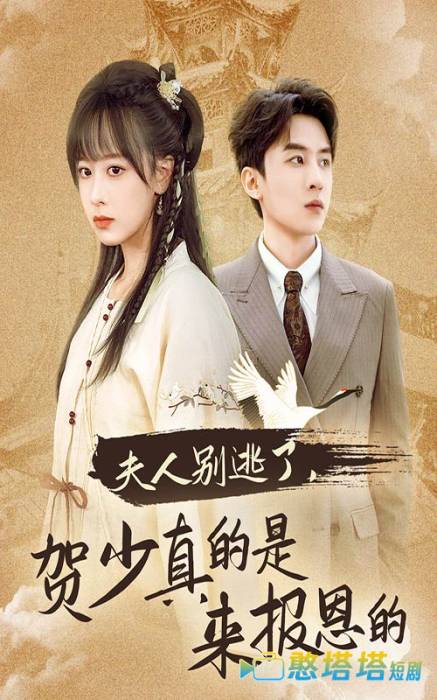 夫人别逃了贺少真的是来报恩的全集在线观看