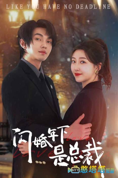 闪婚年下是总裁全集在线观看