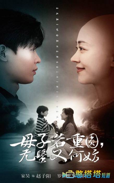 母子若重圆无鬓又何妨全集在线观看