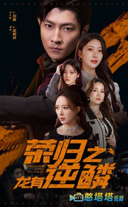 荣归之龙有逆鳞全集在线观看