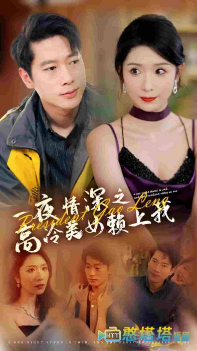 一夜情深之高冷美女赖上我全集在线观看