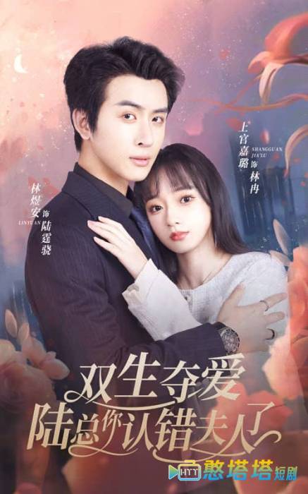 双生夺爱陆总你认错夫人了全集在线观看