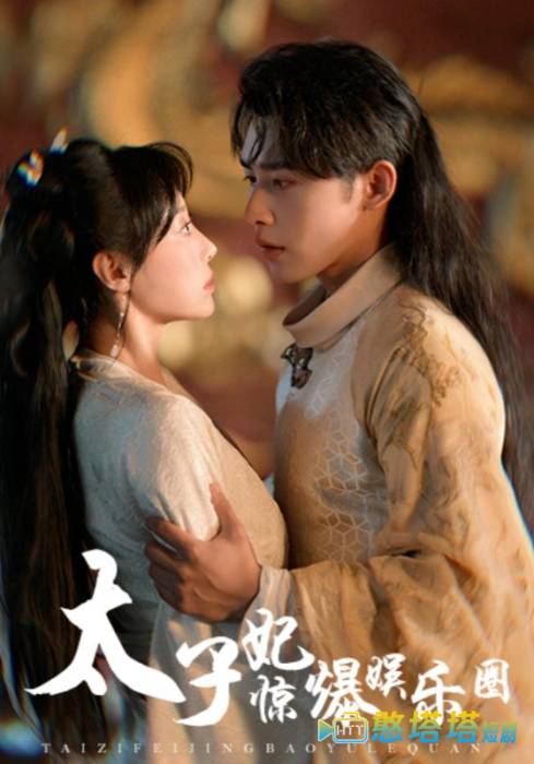 太子妃惊爆娱乐圈全集在线观看
