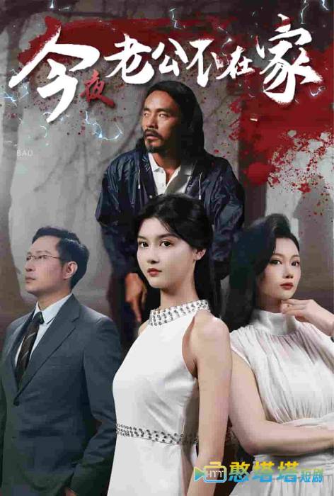 今夜老公不在家全集在线观看