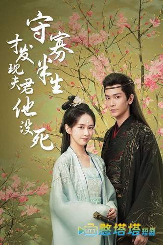 守寡半生才发现夫君他没死全集在线观看