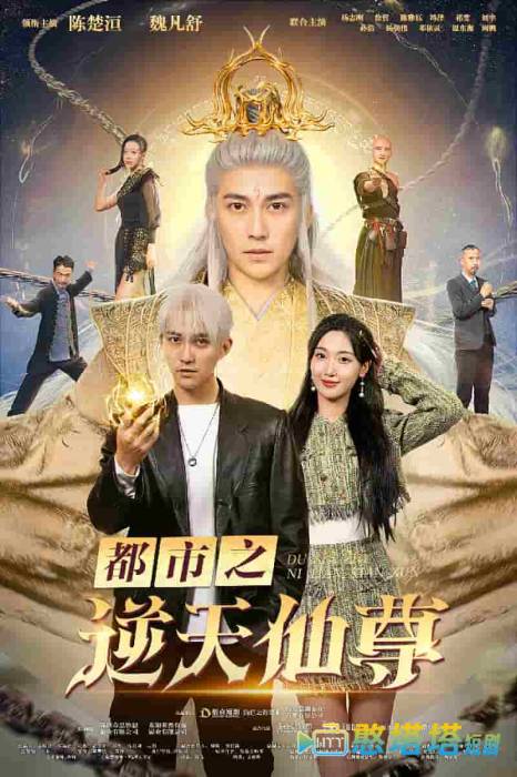 都市之逆天仙尊全集在线观看