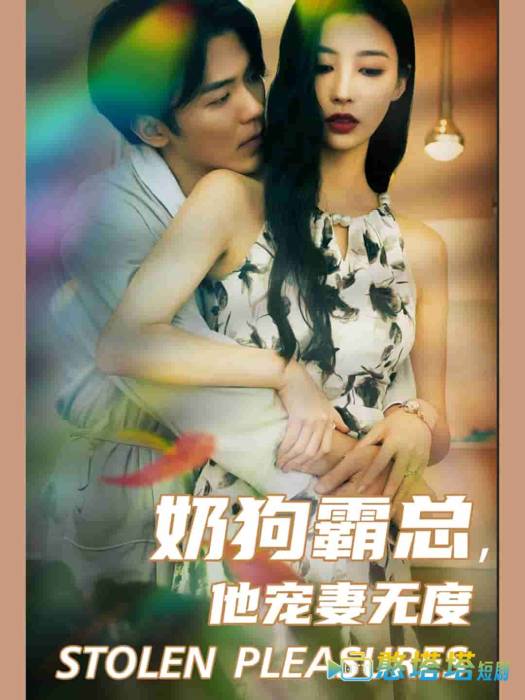 奶狗霸总,他宠妻无度全集在线观看