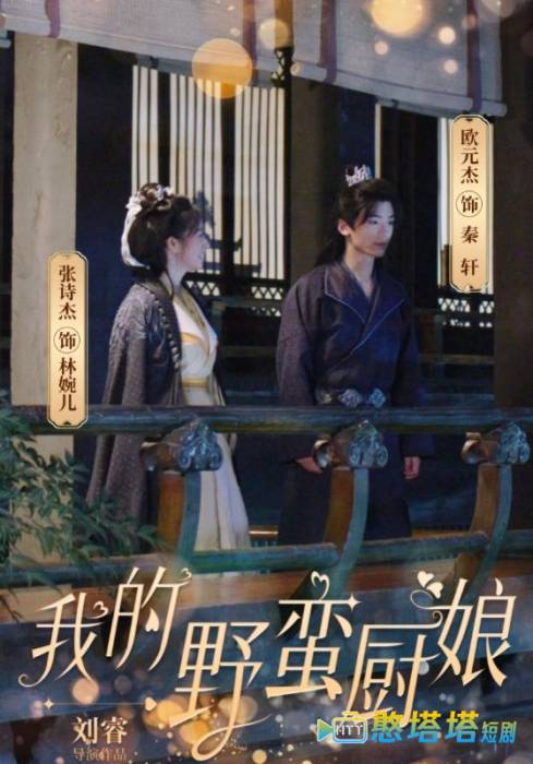 我的野蛮厨娘全集在线观看