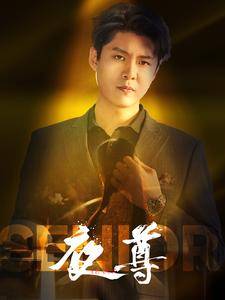 夜尊全集在线观看