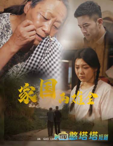 家国两难全全集在线观看