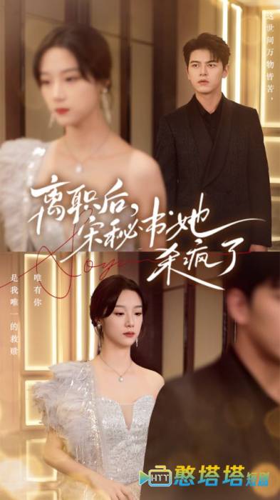离职后,宋秘书她杀疯了全集在线观看