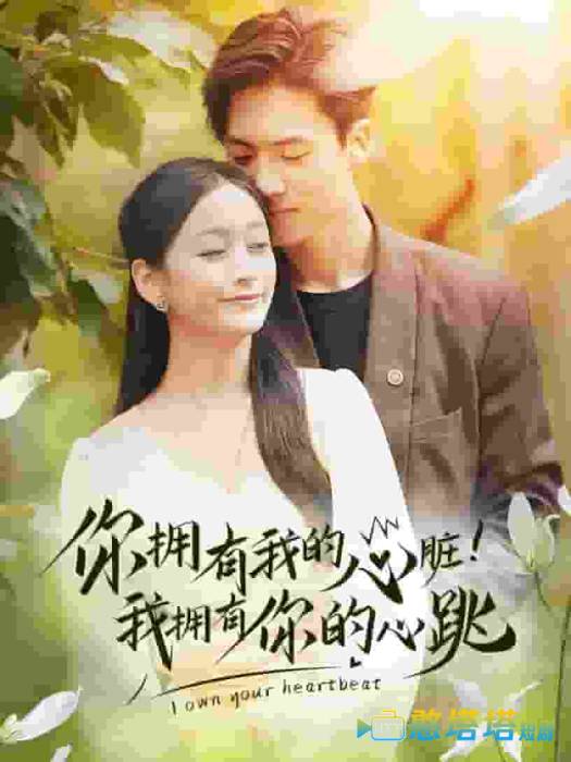 你拥有我的心脏！我拥有你的心跳全集在线观看