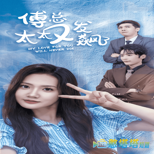傅总太太又发飙了全集在线观看