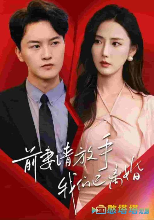 前妻请放手，我们已离婚全集在线观看
