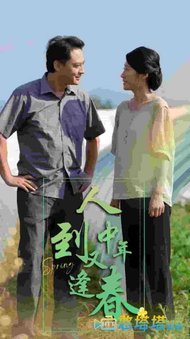 人到中年又逢春全集在线观看