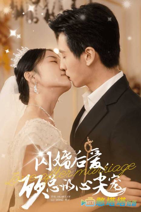 闪婚后爱,顾总的心尖宠全集在线观看
