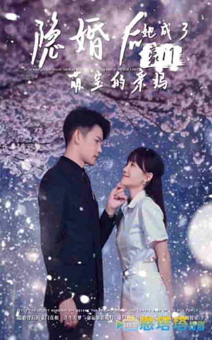 隐婚后,她成了豪门萌宝的亲妈全集在线观看