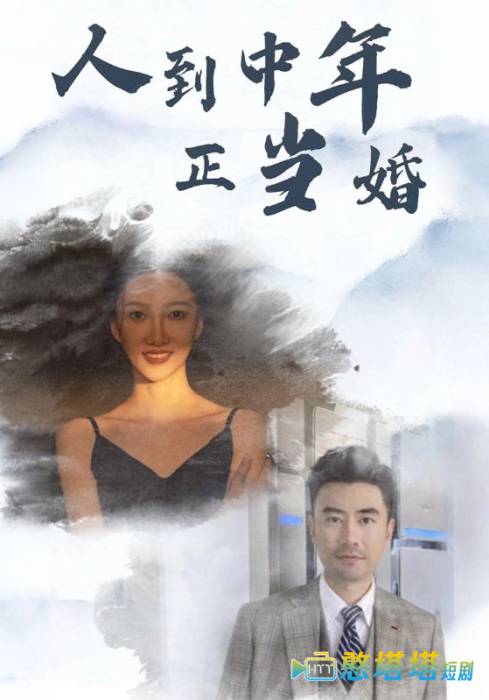 人到中年正当婚全集在线观看