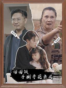 团圆饭手撕奇葩亲戚全集在线观看