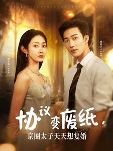 协议变废纸，京圈太子天天想复婚全集在线观看