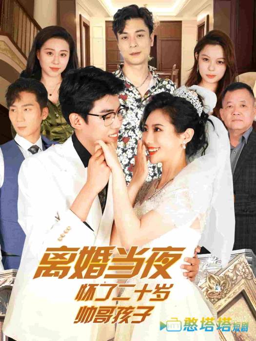 离婚当夜怀了二十岁帅哥全集在线观看