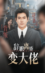 辞职离婚变大佬全集在线观看
