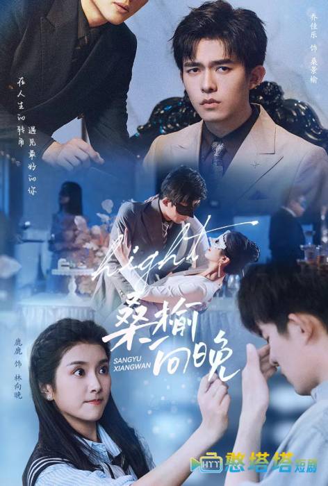 桑榆向晚全集在线观看
