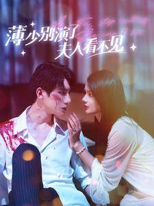 薄少别演了夫人看不见全集在线观看