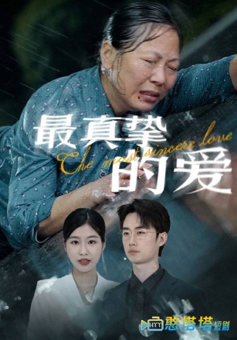 最真挚的爱全集在线观看