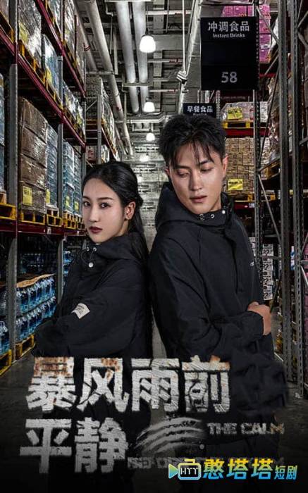 暴风雨前的平静全集在线观看