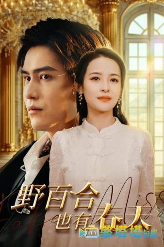 野百合也有春天 短剧版 全集在线观看