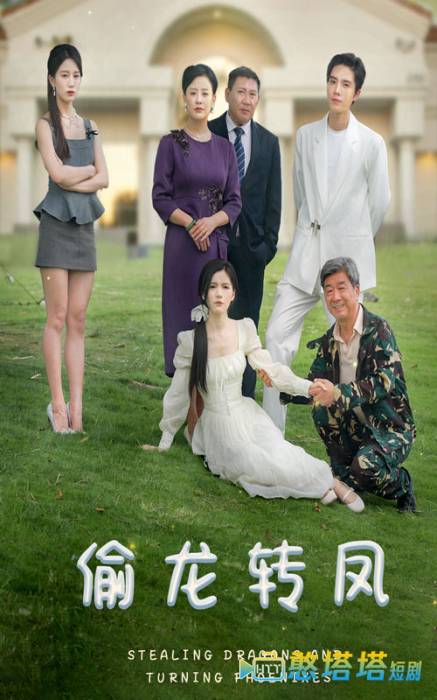  偷龙转凤 短剧版 