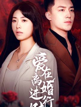  爱在离婚进行时 短剧版 