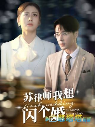 苏律师我想闪个婚全集在线观看
