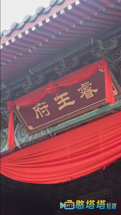 新：王妃她又美又飒