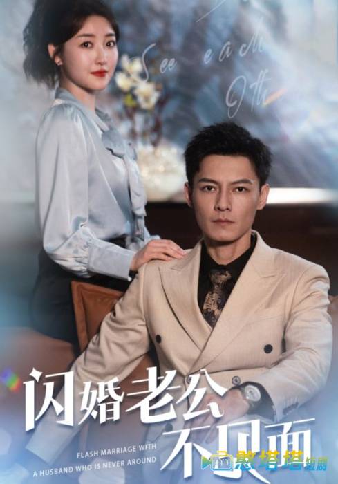 闪婚老公不见面