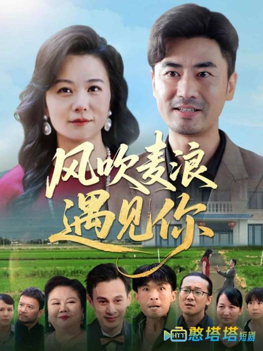 风吹麦浪遇见你