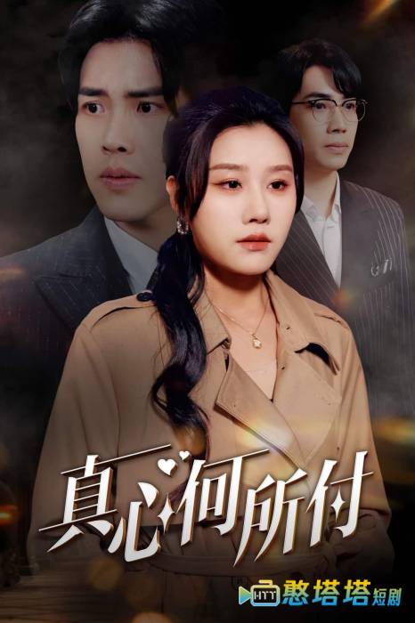 真心何所付全集在线观看