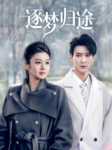 逐梦归途全集在线观看
