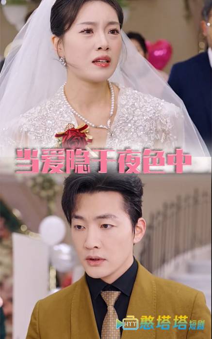 当爱隐于夜色中全集在线观看