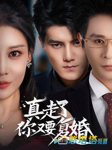 真走了你又要复婚