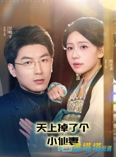 天上掉了个小仙妻全集在线观看