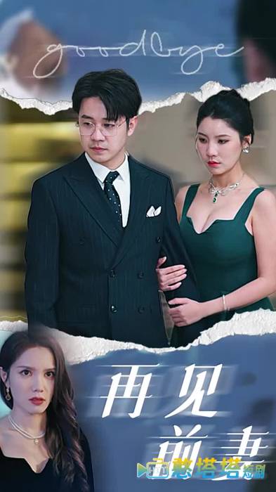 再见前妻全集在线观看